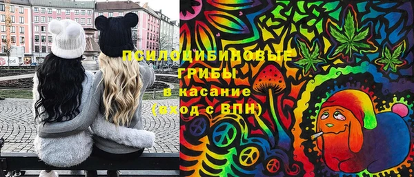 a pvp Михайловск
