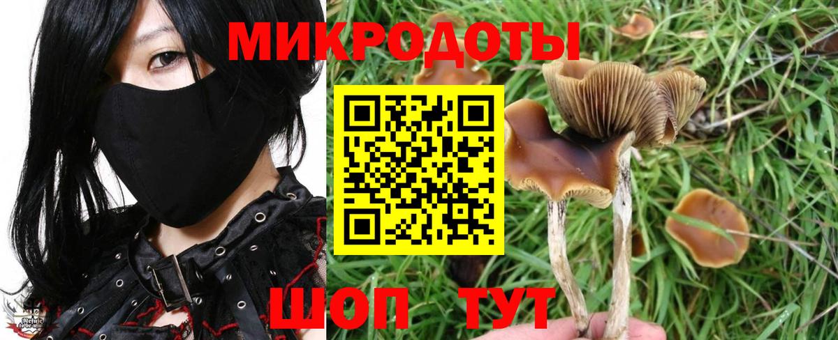 Елабуга  Псилоцибиновые грибы GOLDEN TEACHER  Вход с VPN 